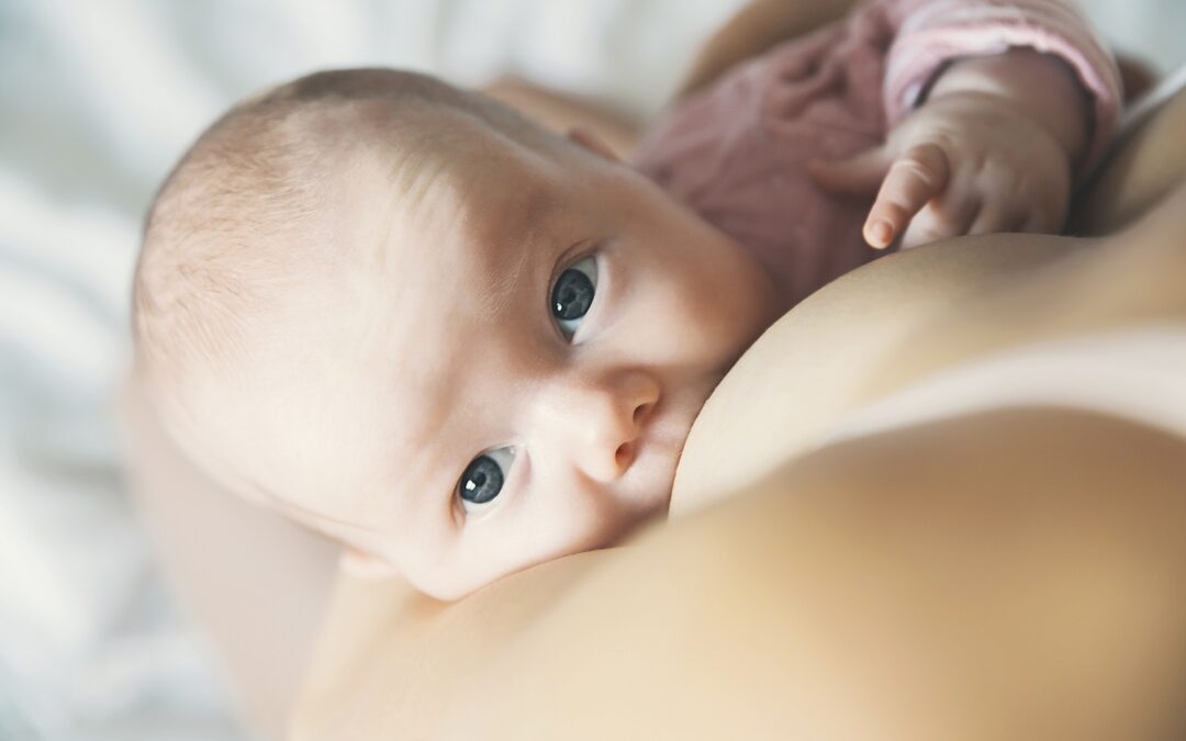 Mýty a fakta o kojení